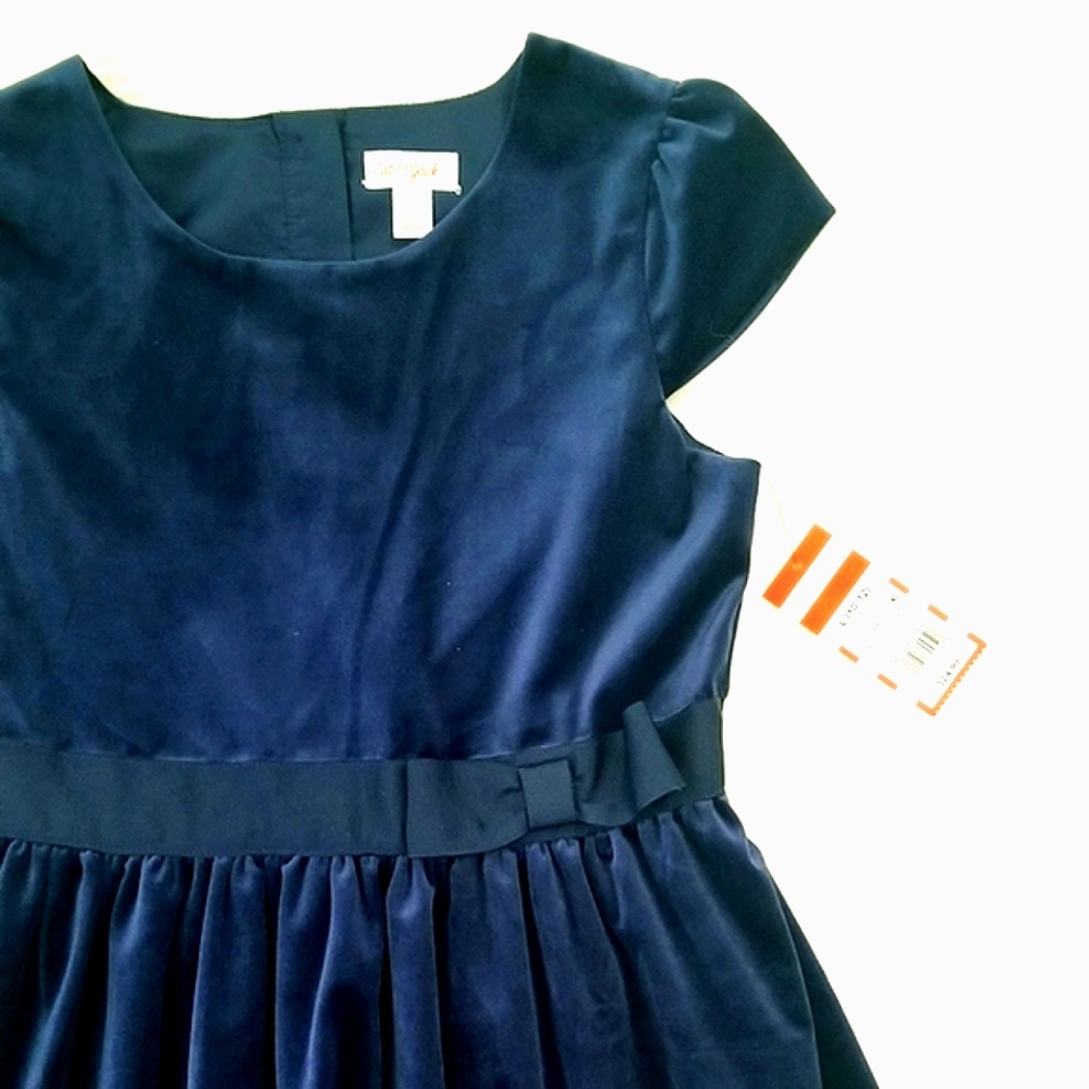 Blue Velvet Dress